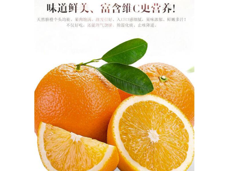 正宗重庆奉节脐橙现摘现发