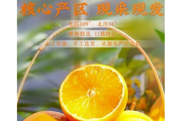 辰颐物语“甜满中国”重庆奉
